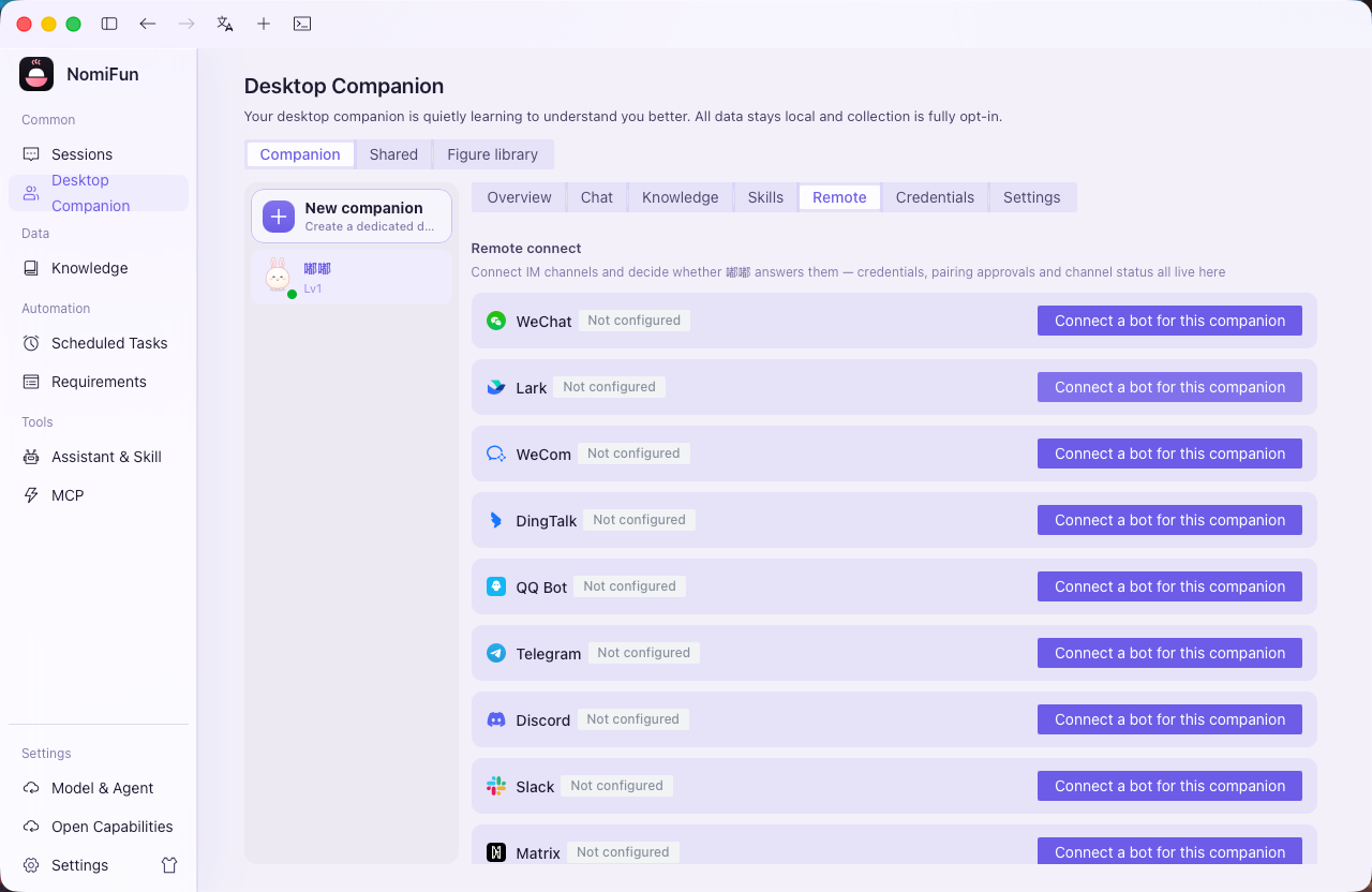 Companion remote-connection / channel binding